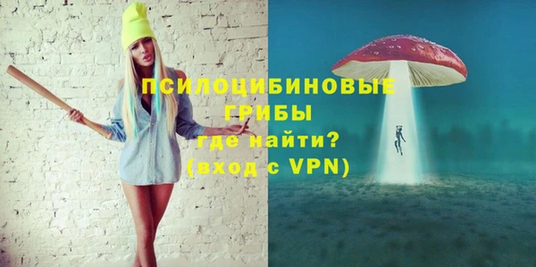 а пвп мука Инсар