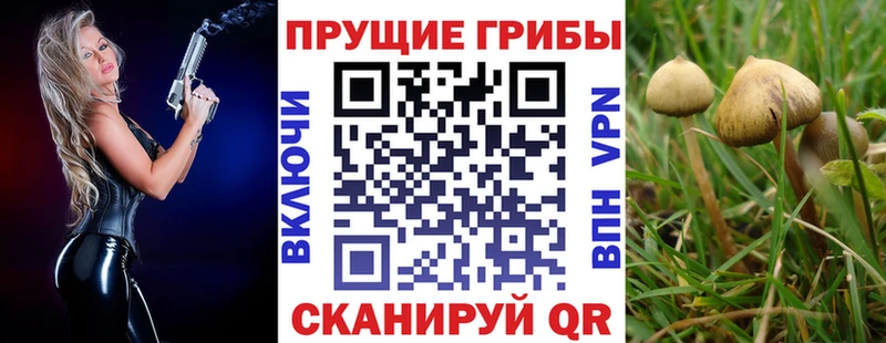 Купить  Городовиковск  Псилоцибиновые грибы Magic Shrooms 